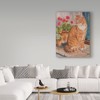 Trademark Fine Art Janet Pidoux 'Ginger Cat On Doorstep' Canvas Art, 18x24 ALI36628-C1824GG